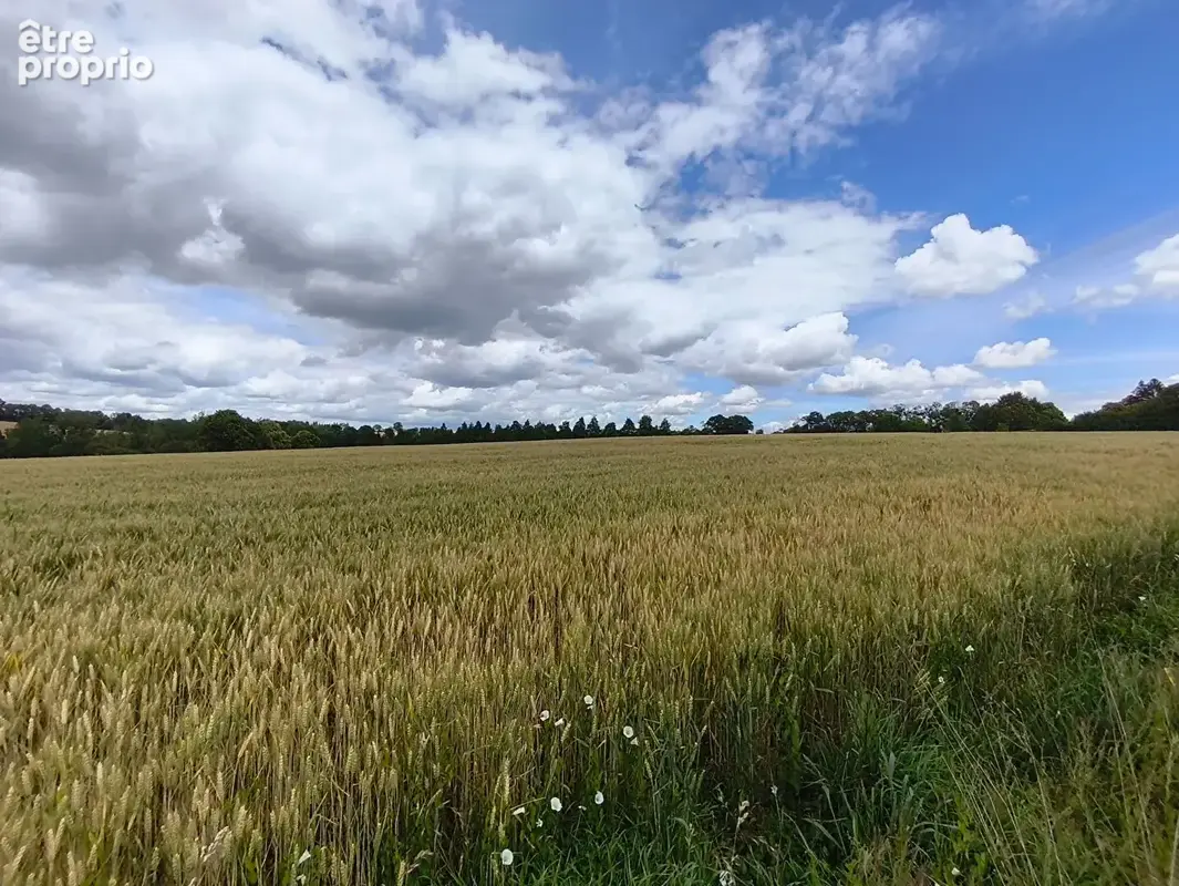 VITRE (35) - propriété rurale sur 7ha. - photo 14