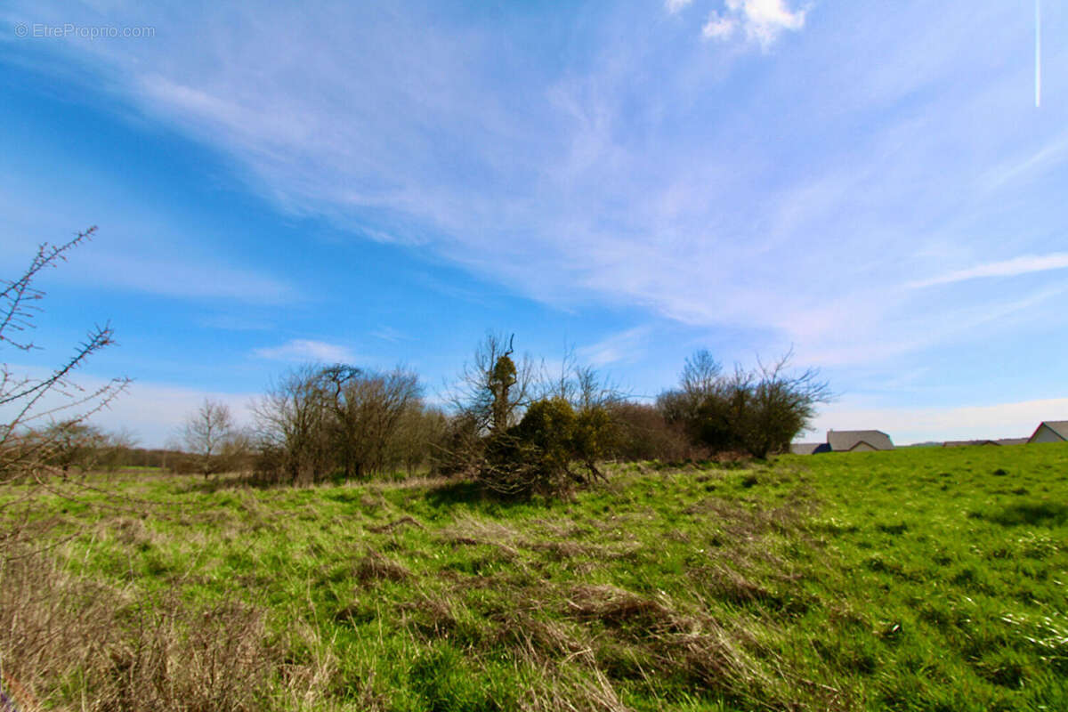 Terrain à SAINT-FRANCOIS-LACROIX