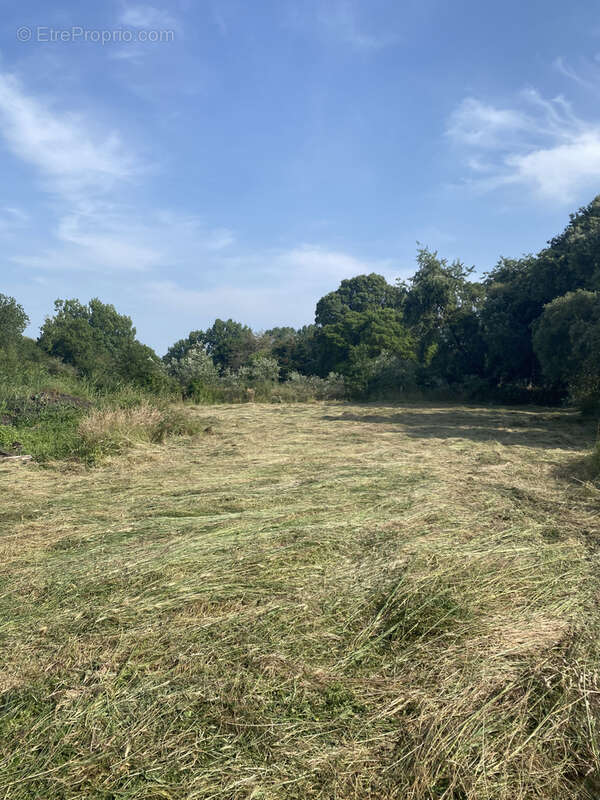 Maison à SAINT-HILAIRE-DE-RIEZ