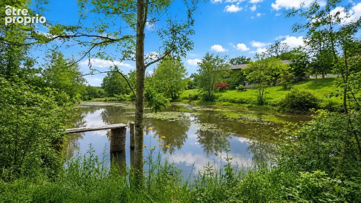 Un étang, plus de 2 hectares et une maison prête à vivre à M - photo 17