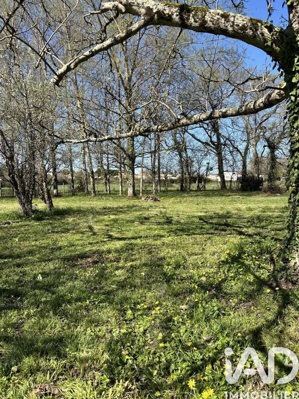 Photo 3 - Maison à MEDIS