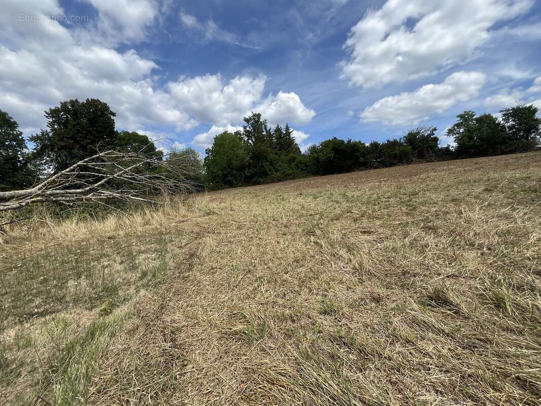Terrain à RAZAC-SUR-L'ISLE