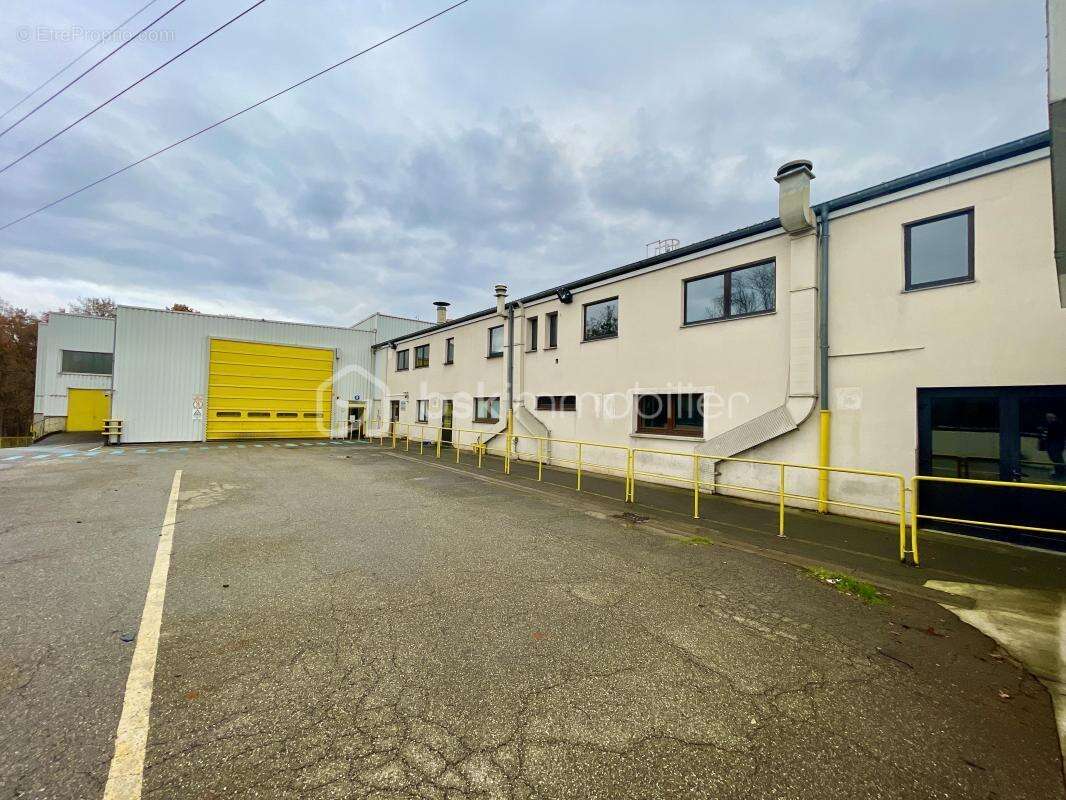 Commerce à CREUTZWALD