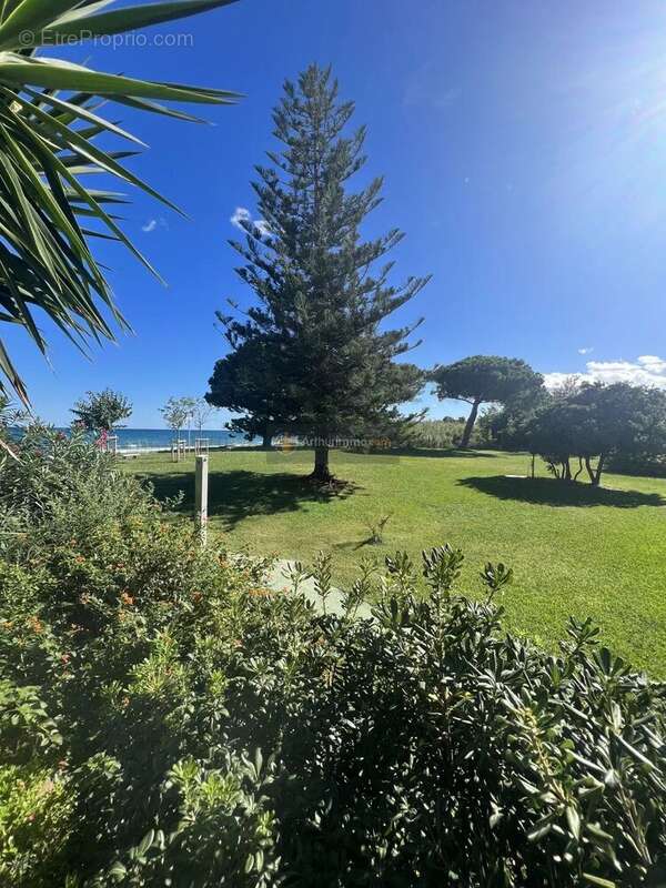 Appartement à SAN-NICOLAO