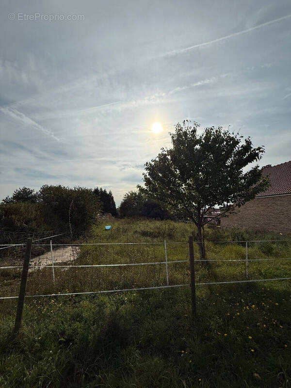 Terrain à ALBERT