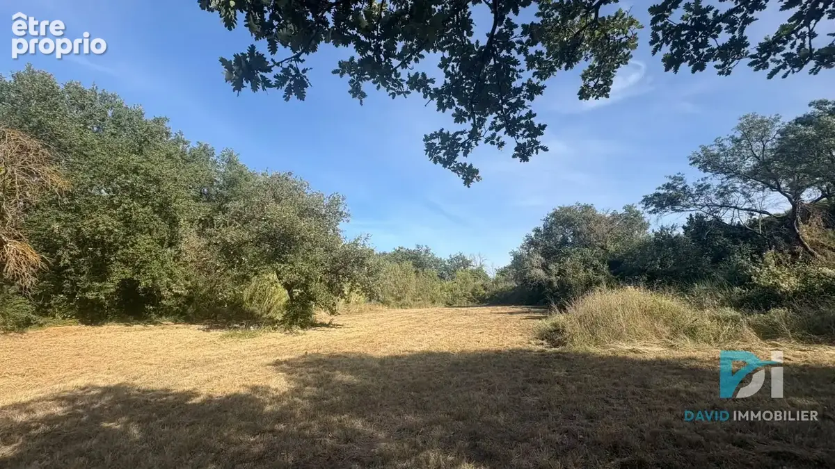 Terrain agricole - photo 7
