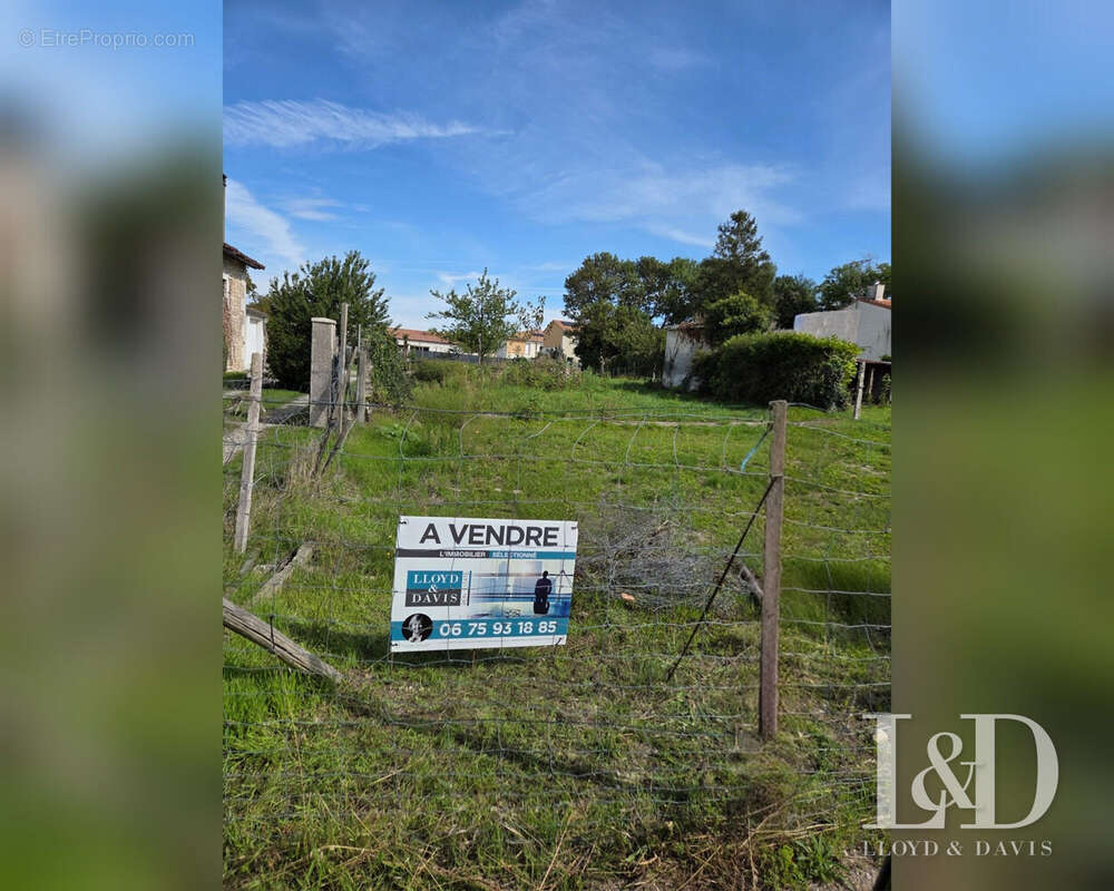 Terrain à SEMUSSAC