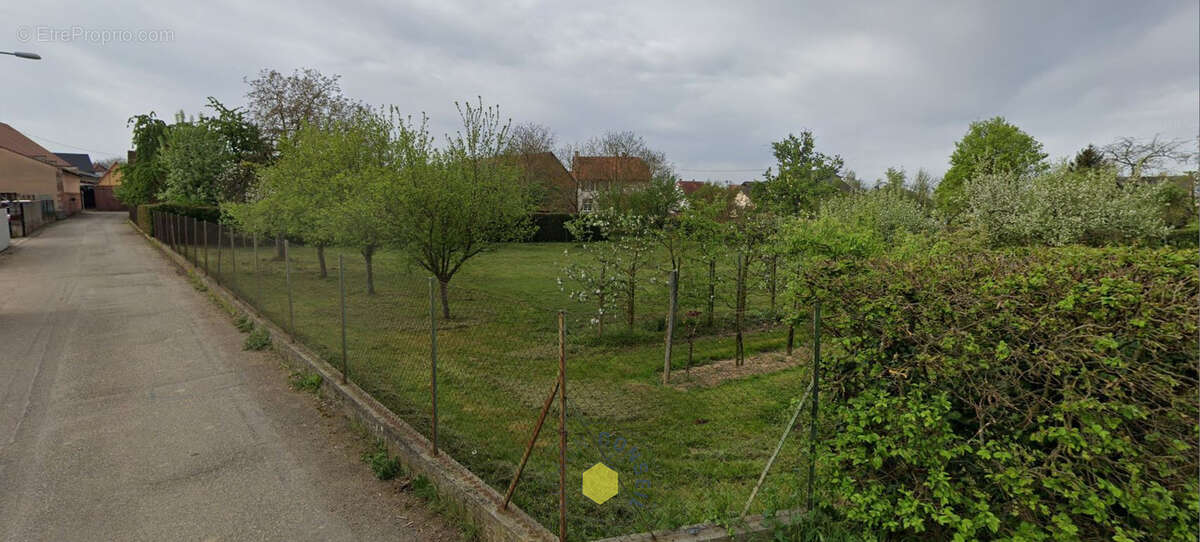 Terrain à RINGENDORF