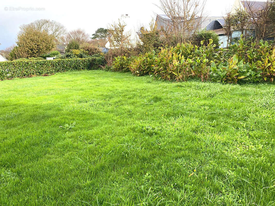 Maison à LOCMARIA-PLOUZANE