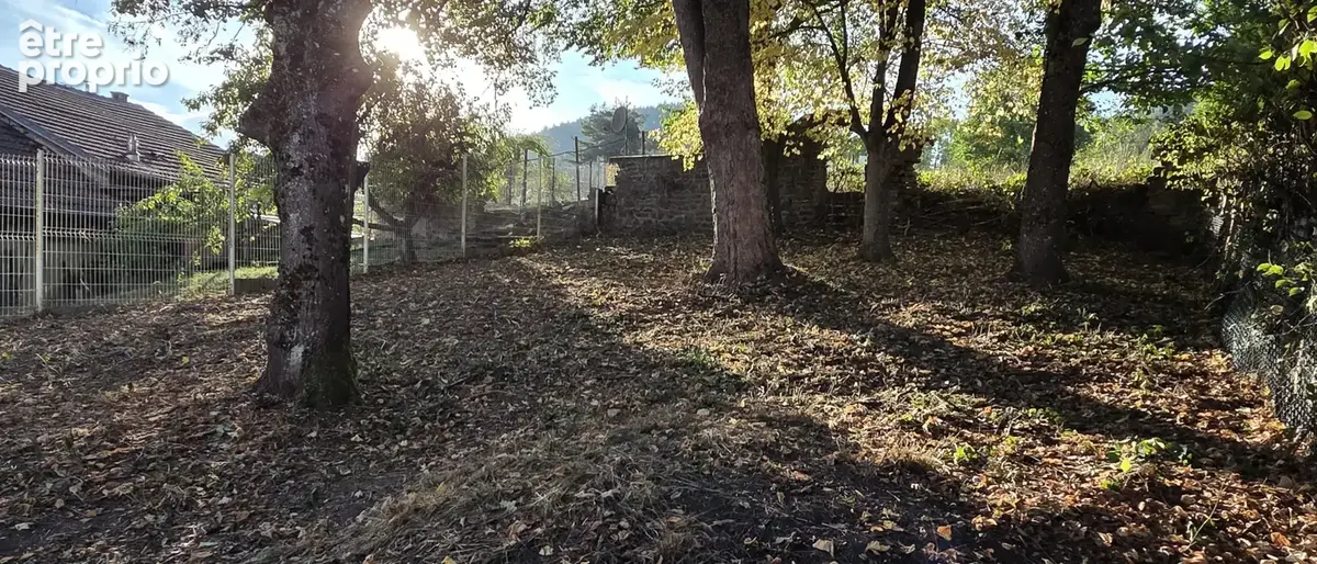 Saales, ancienne maison à rénover, avec dépendance et terrain à l'arrière, beaux espaces. - photo 6