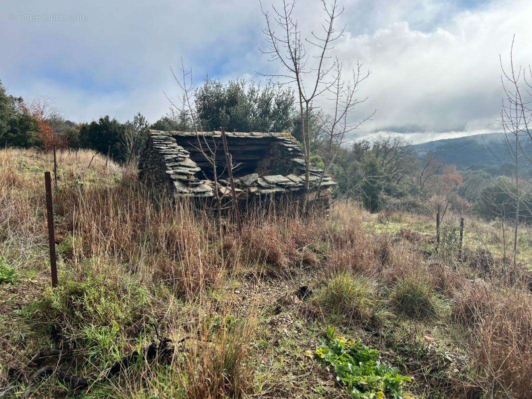 Terrain à MONS