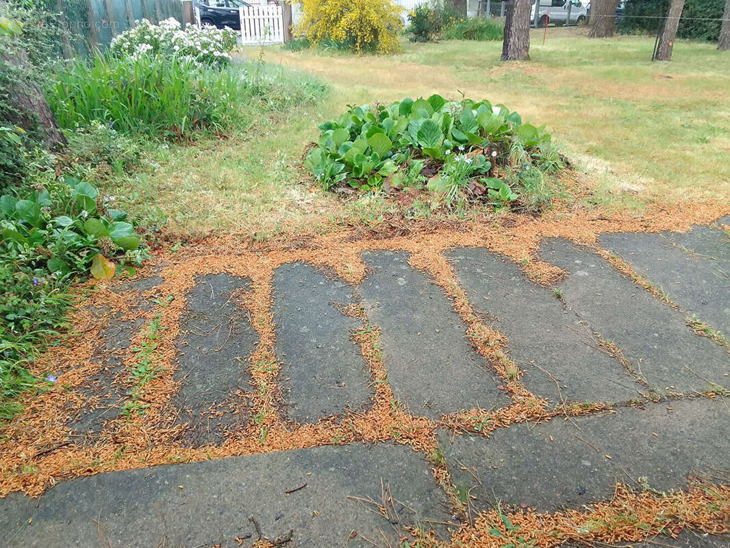 Maison à SAINT-BREVIN-LES-PINS