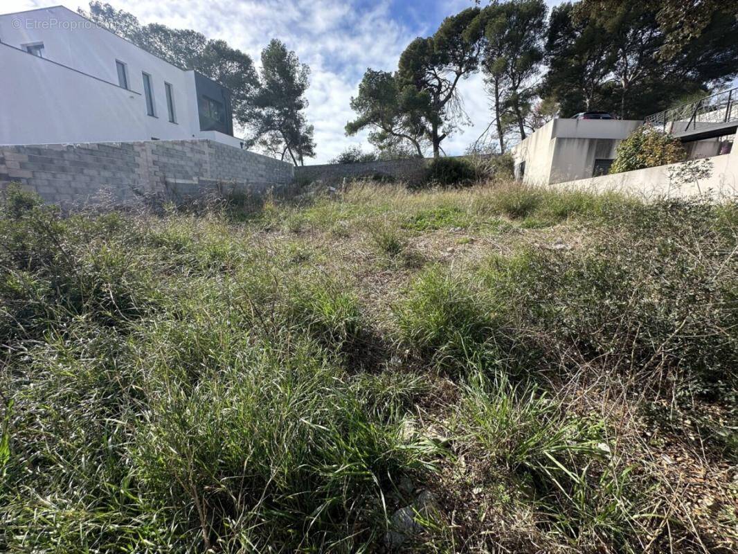 Terrain à FRONTIGNAN