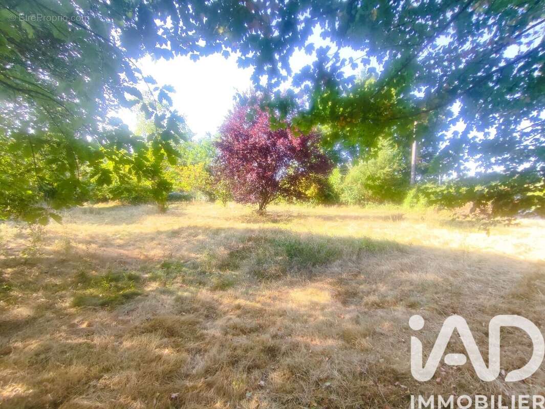 Photo 6 - Terrain à MONTAUBAN