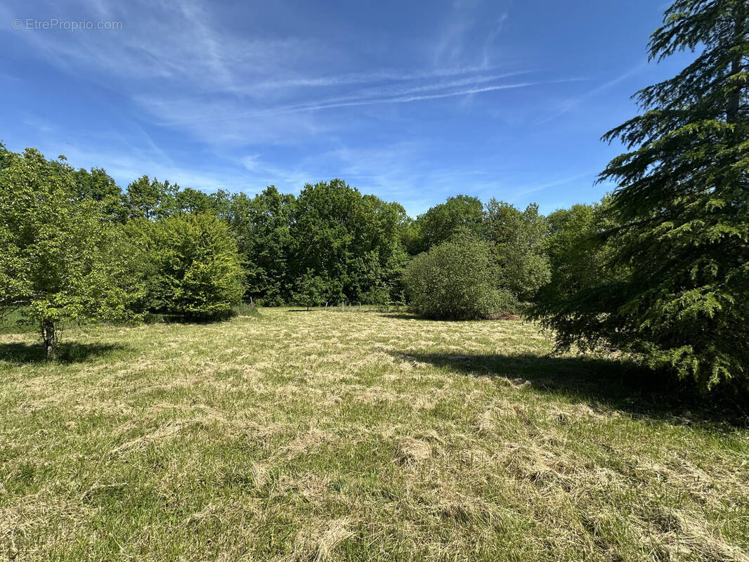 Terrain à VIRAZEIL