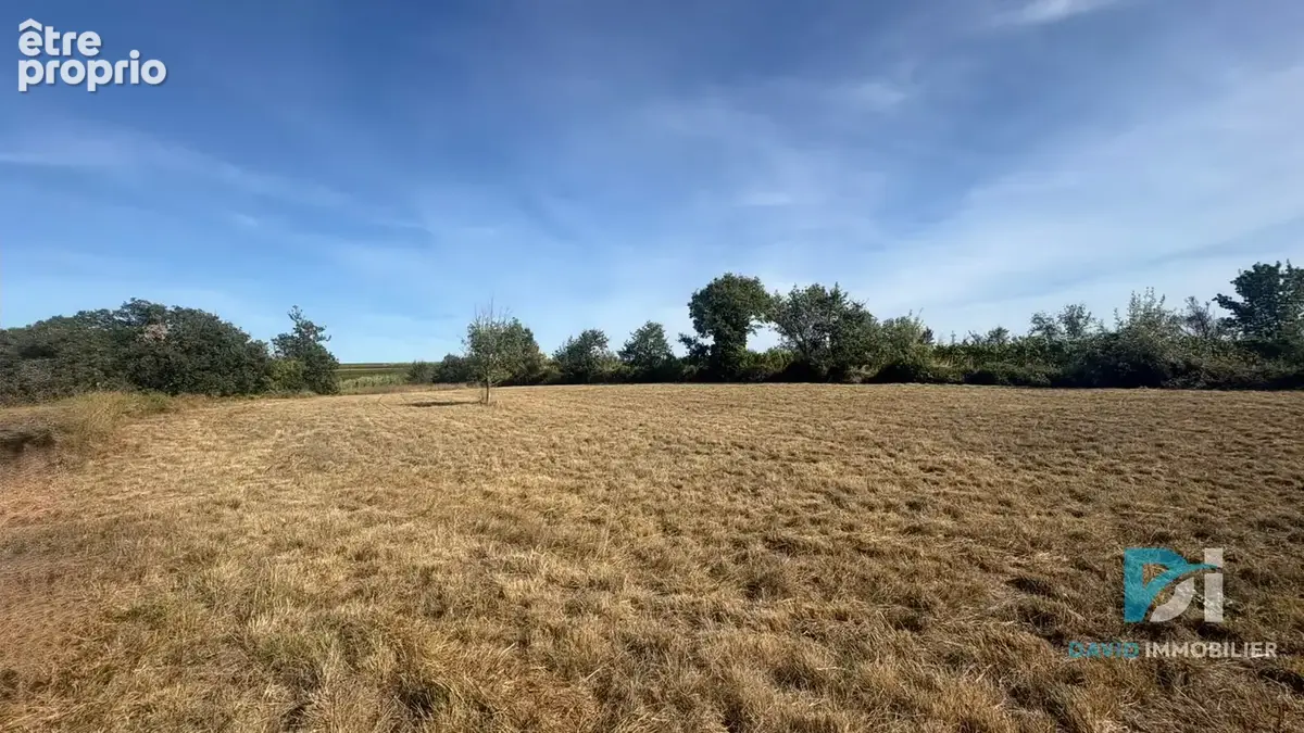Terrain agricole - photo 1