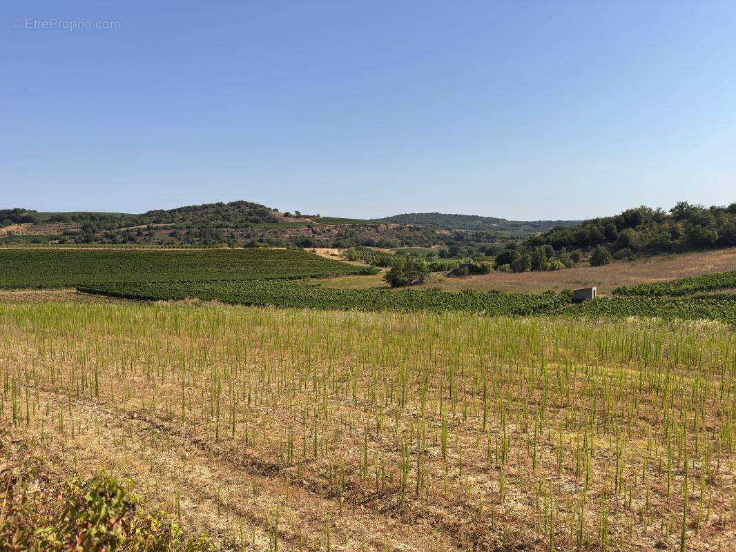 Terrain À Vendre - photo 3
