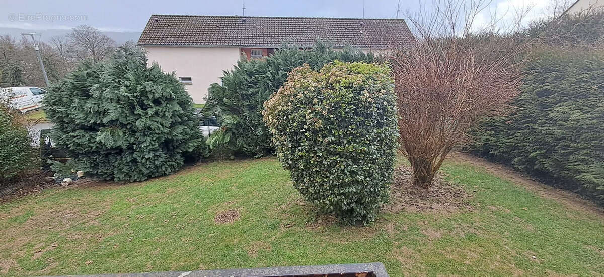 Maison à VIVIER-AU-COURT