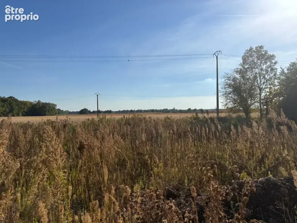 Photo Terrain à Marckolsheim au prix de 109 641€