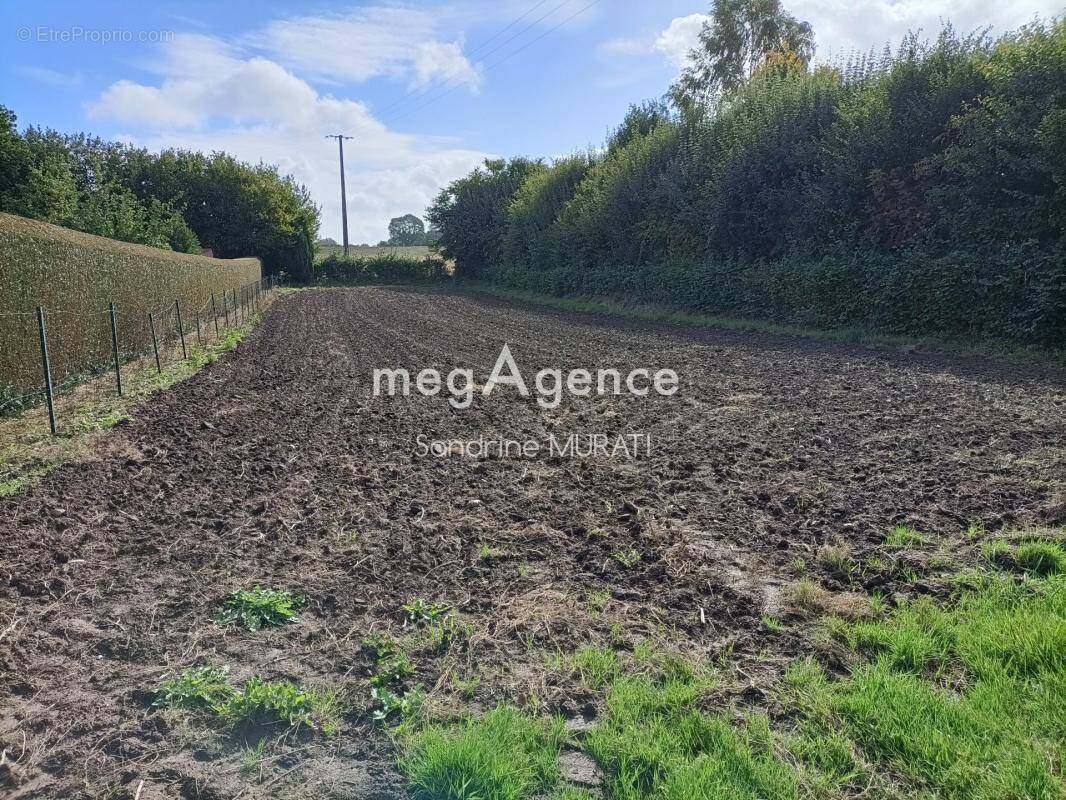 Terrain à GANDELAIN