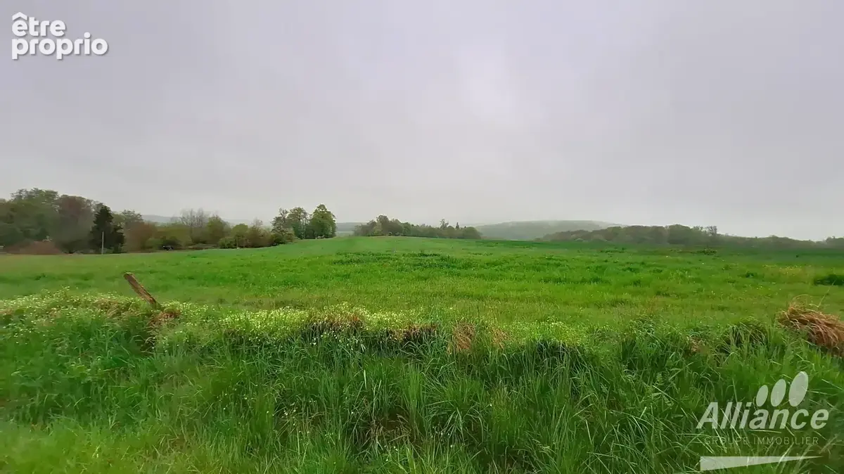 Terrain à COURCELLES