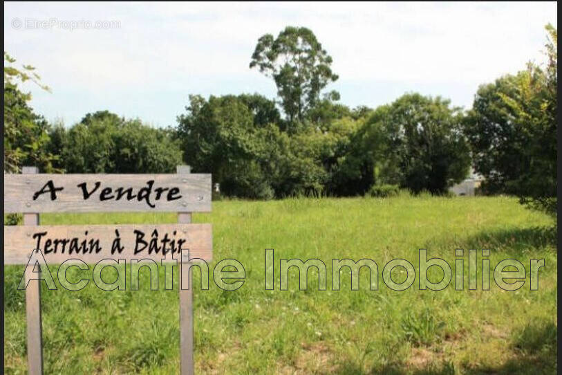 Terrain à ASSAS