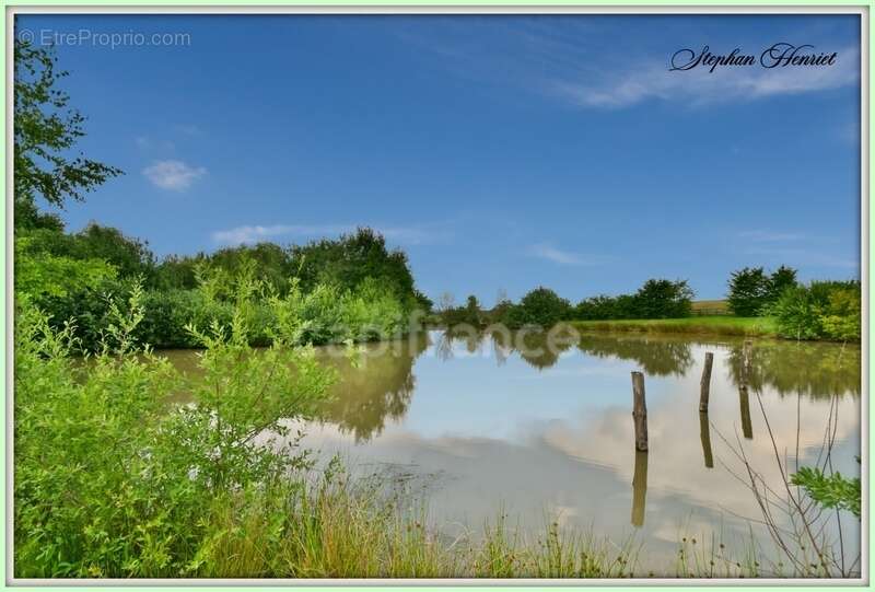 Terrain à BOULT-AUX-BOIS