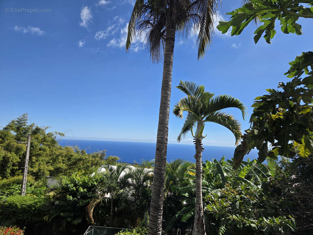A vendre à La Montagne, villa créole F4-5 + bungalow - photo 18