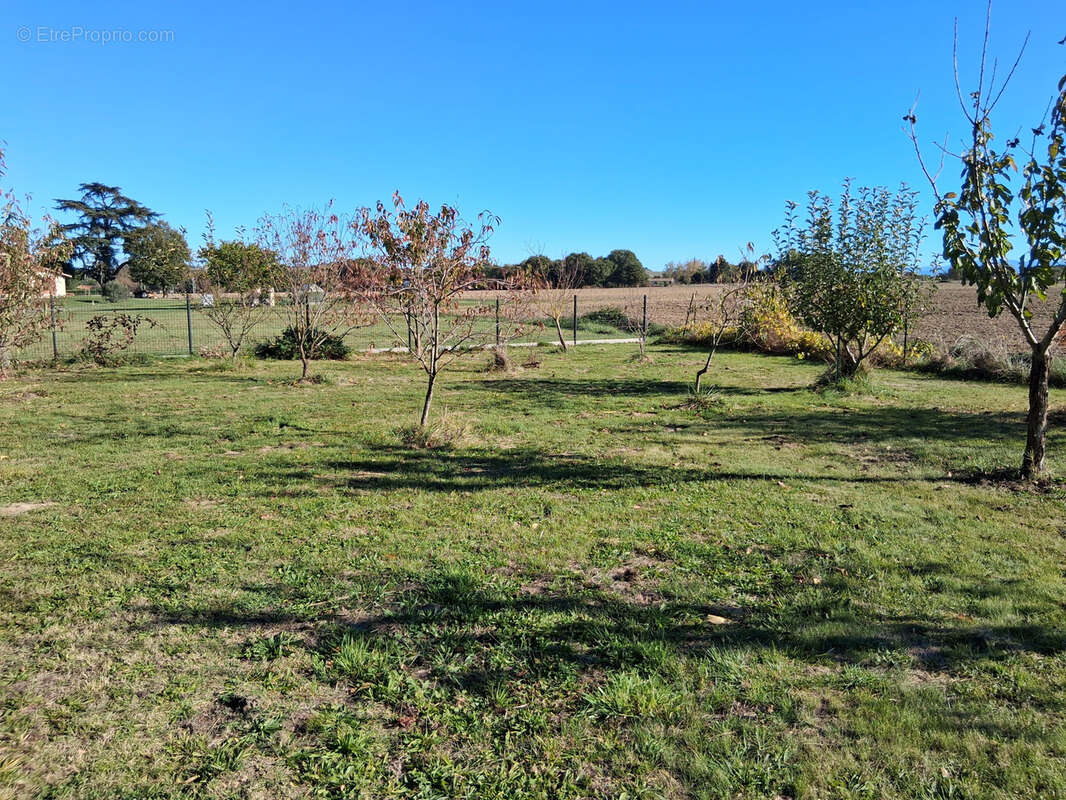 Terrain à MONTESQUIEU-VOLVESTRE