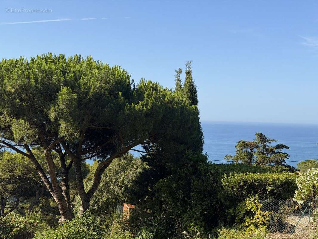Terrain à SETE