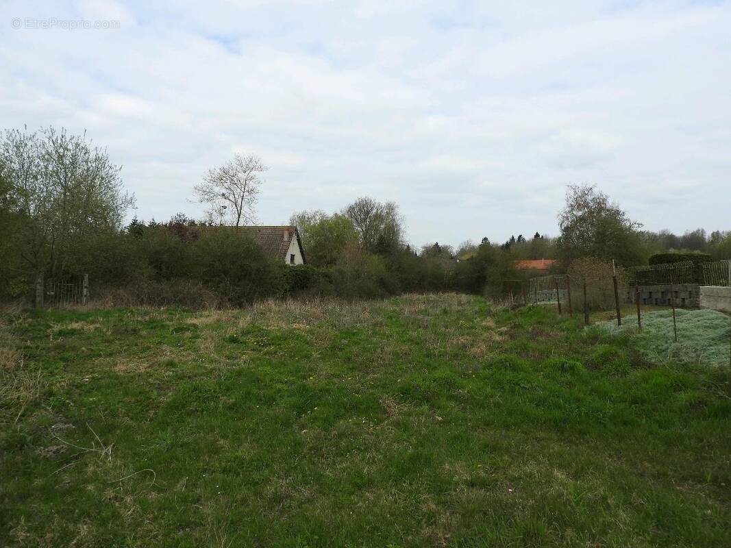 Terrain à MIRAUMONT