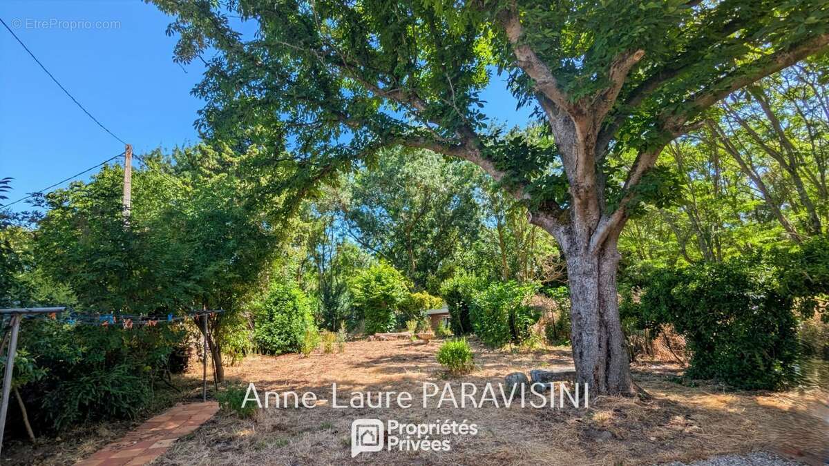 Castelnaudary - Maison T5 à fort potentiel avec terrain arboré - photo 2