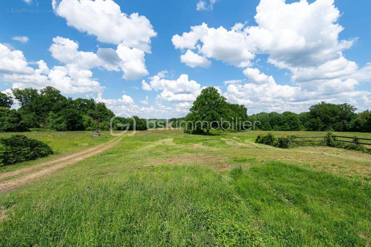 Propriété de caractère avec gîtes et dépendances sur 5 hectares - photo 10