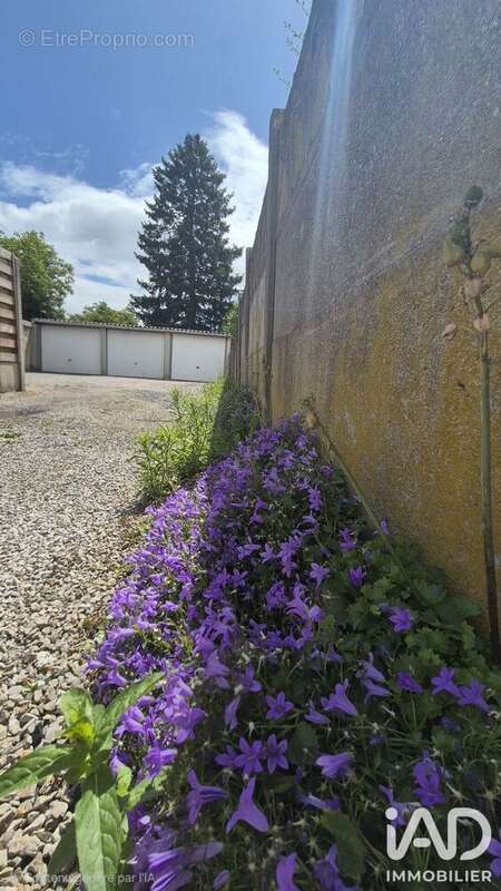 Photo 3 - Appartement à SOMAIN