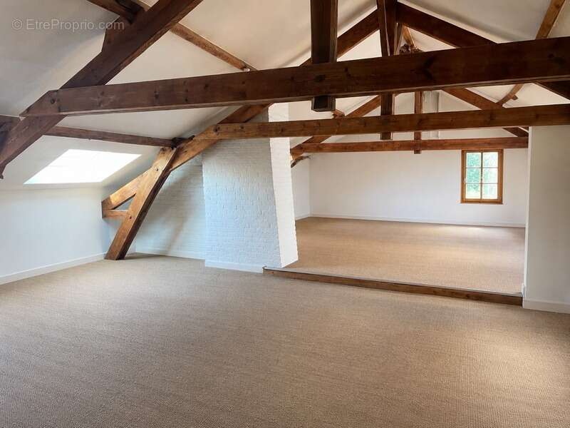 Grand appartement familial de 206 m2 au sol - Avenue Garibaldi, Limoges - photo 4