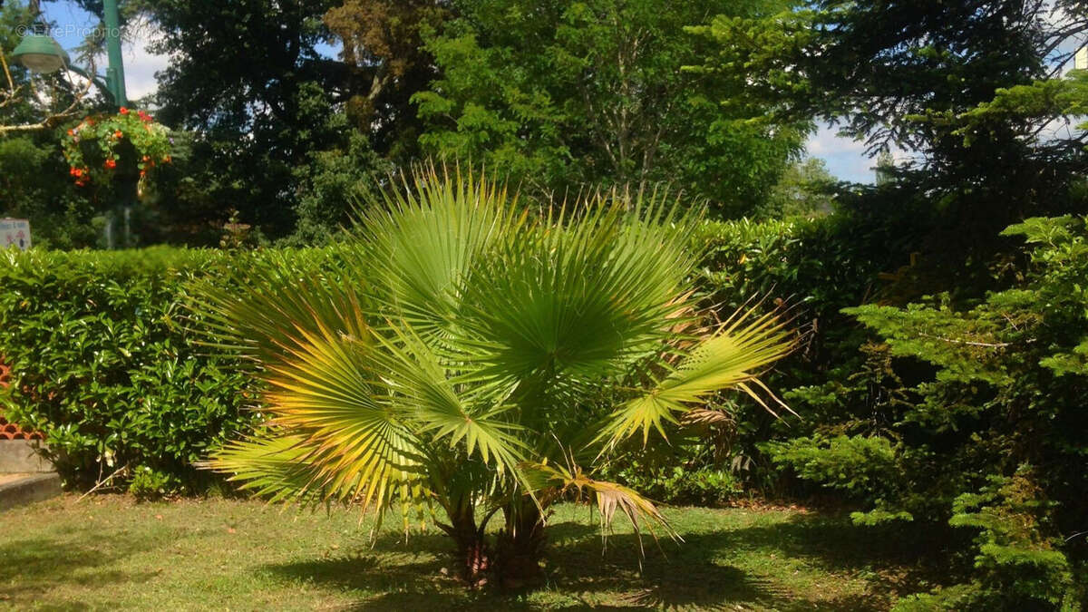 Maison à LEZAT-SUR-LEZE