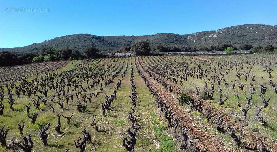Maison à VIC-LA-GARDIOLE