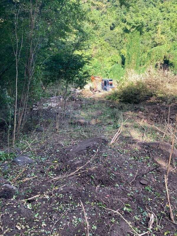 Terrain à BELLEFONTAINE