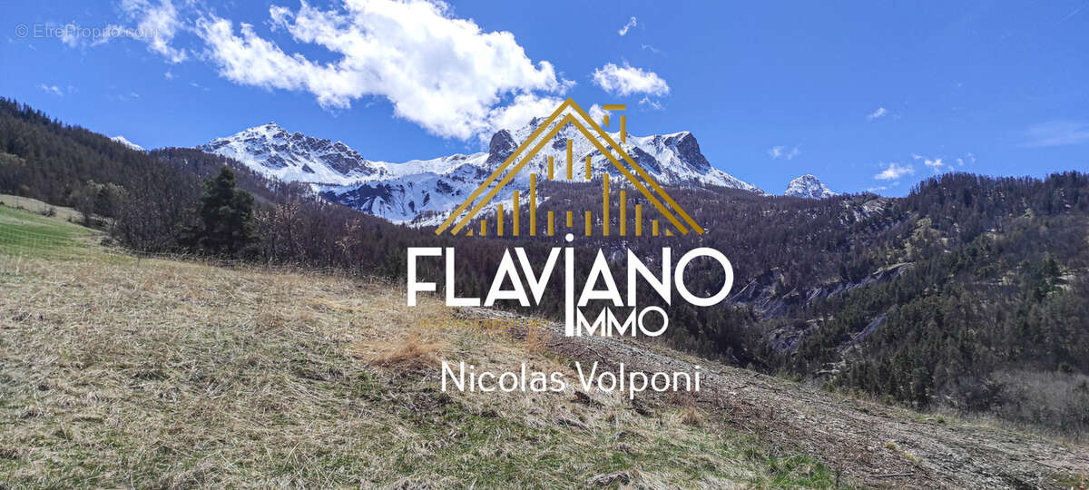 Terrain à BARCELONNETTE