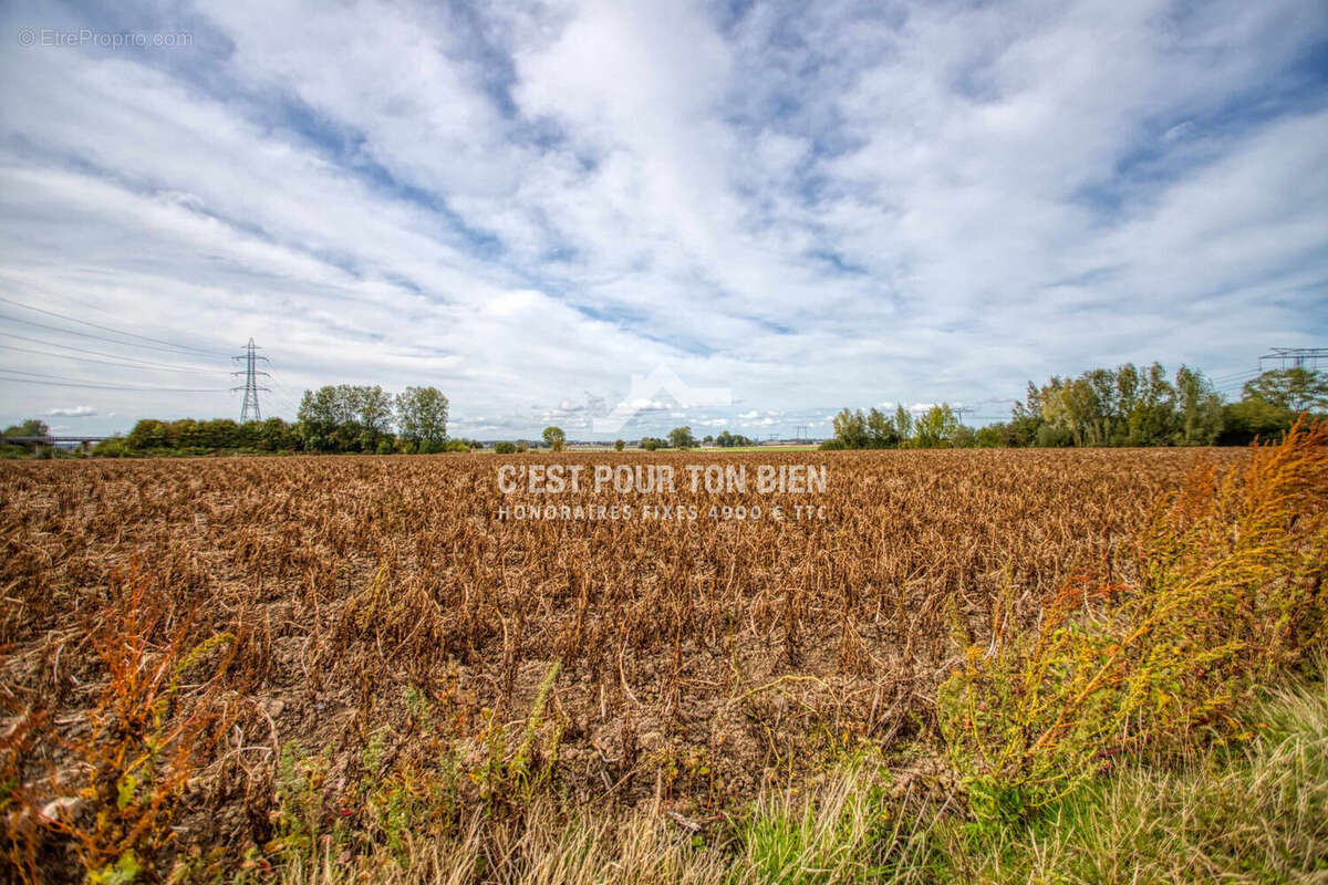 Maison à BUYSSCHEURE