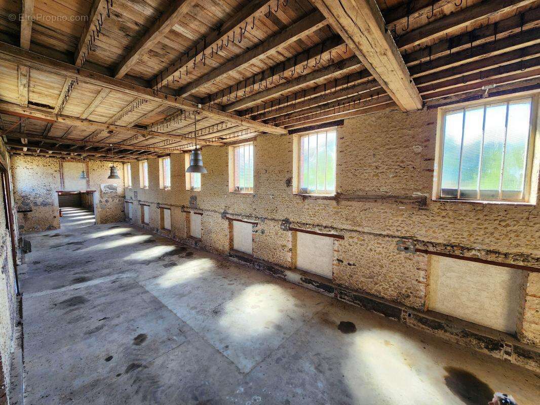 Commerce à CORMENON