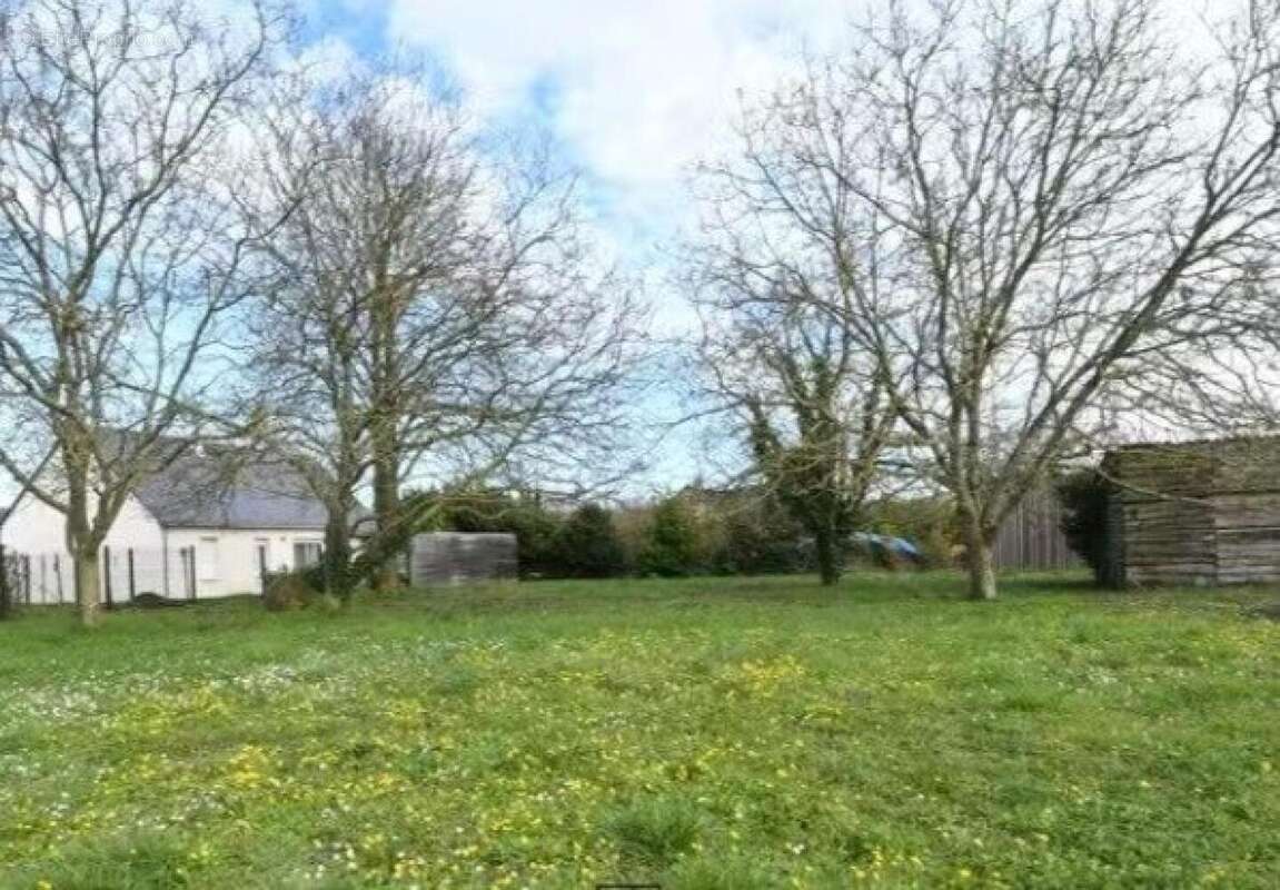 Photo 2 - Terrain à BRISSAC-QUINCE