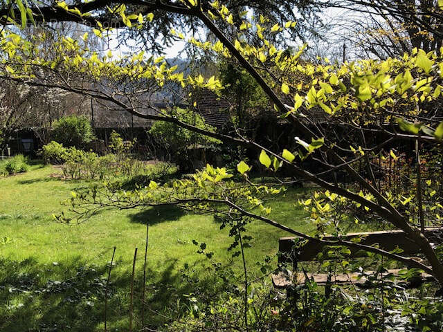 Maison à GIF-SUR-YVETTE