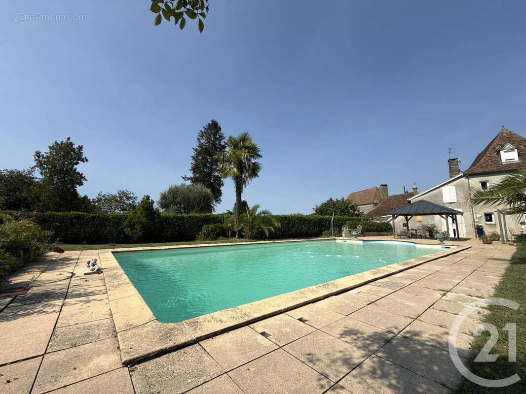 Maison 285 m² à Orthez  - photo 2