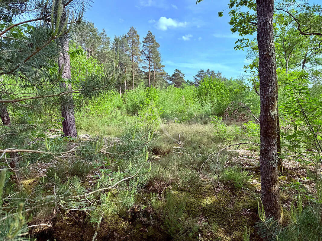 Terrain à ROMORANTIN-LANTHENAY