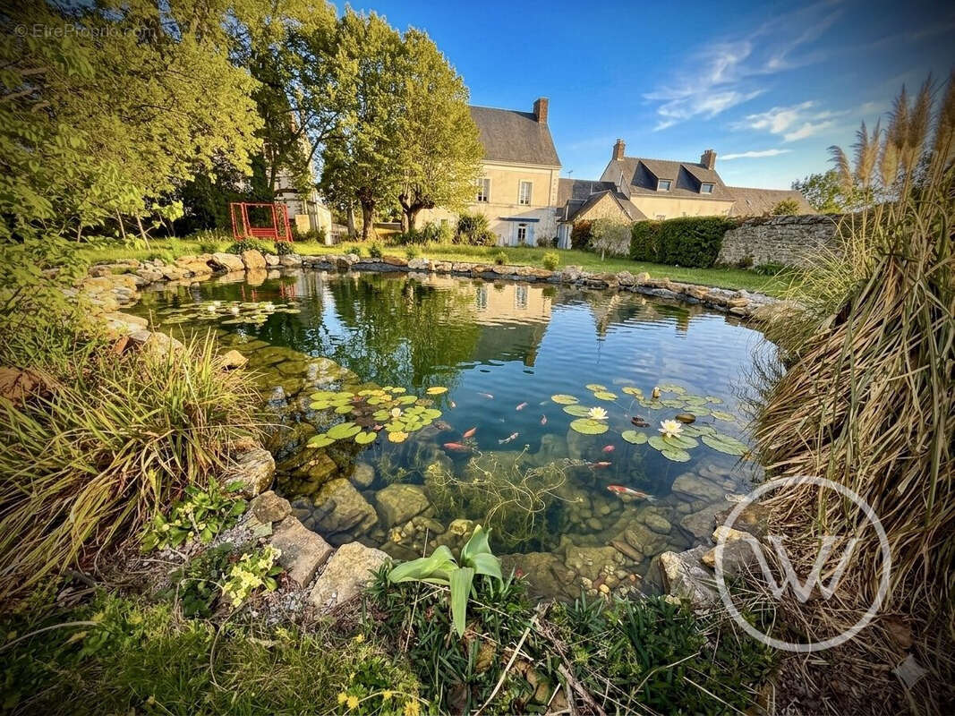 Maison à LE GRAND-LUCE