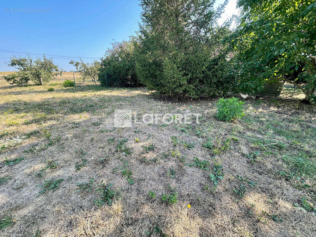 Terrain à TORTEQUESNE