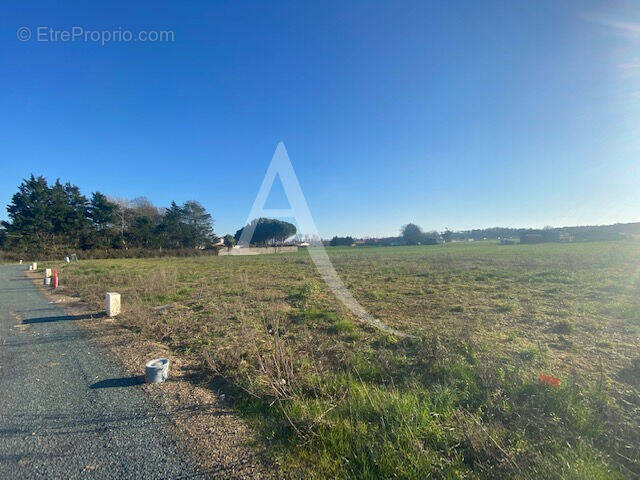 Terrain à LONGEVILLE-SUR-MER