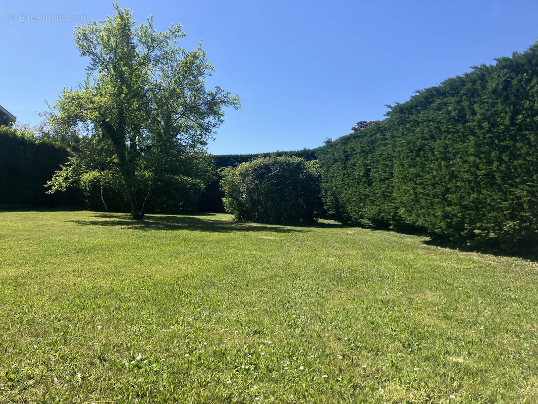 Terrain à SAINT-GENIS-LES-OLLIERES