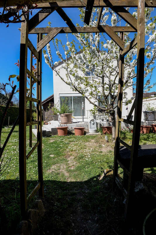 Maison 133 m² à Bois-Le-Roi  - photo 7